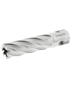 Toolex  Mag Drill Cutters 19MMx55MM