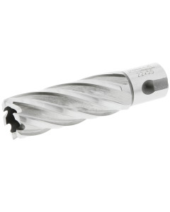 Toolex  Mag Drill Cutters 22MMx55MM