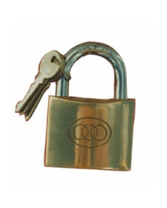 Toolex  Padlock 25.7mm x 8mm