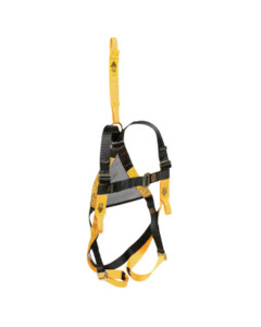 Harness Complete With Adjustable Shoulder And Leg Straps