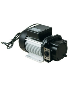 240V Oil Transfer Pump