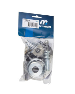 Major Service Kit suits R-Series Air Operated Oil Pumps