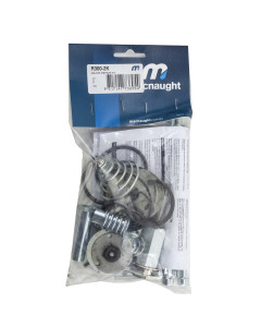 Major Service Kit suits R-Series Air Operated Oil Pumps